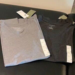2 Goodfellow & Co Short Sleeve Tees.  One is black and one is gray.
